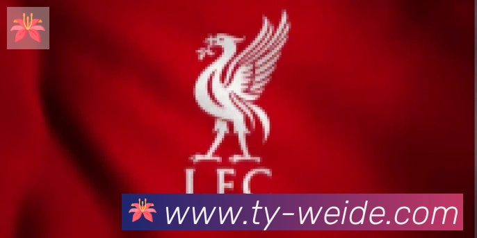 伟德体育合作伙伴