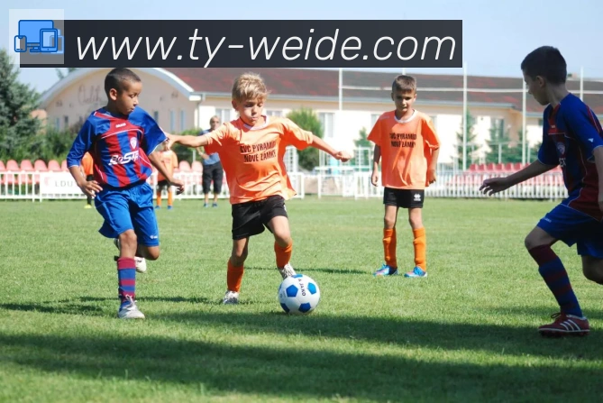 伟德体育全站App